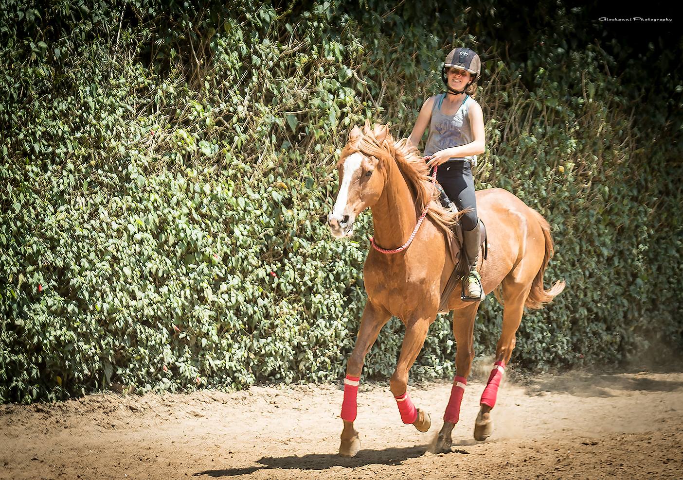 Sem Bridão! (Bridleless)