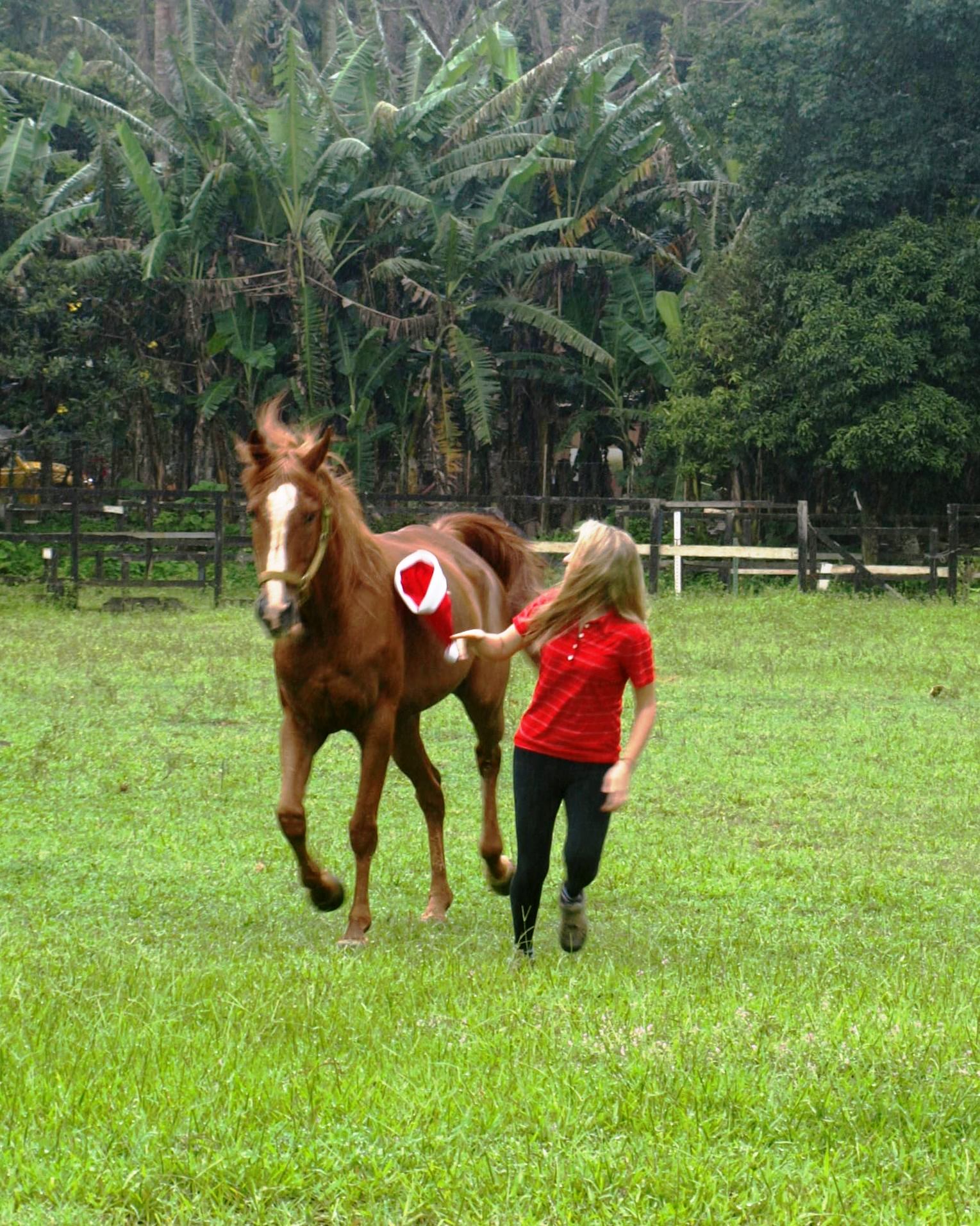 Feliz Natal e um ótimo 2013….