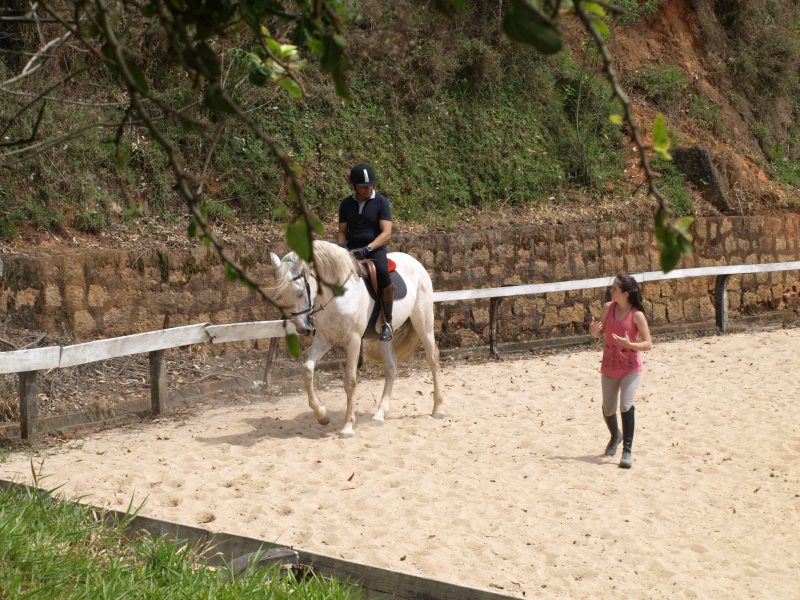 Aulas de hipismo, equitação, montaria, Thaty Vidal