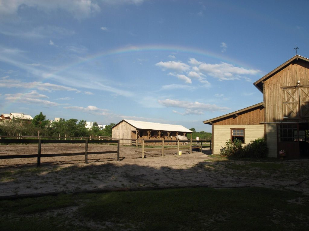 Nova parceria de sucesso.