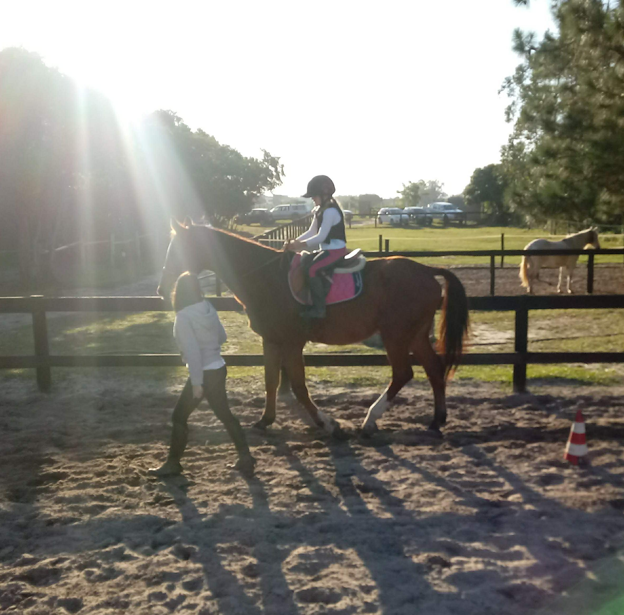 Escola de equitação, o primeiro passo para o mundo do cavalo