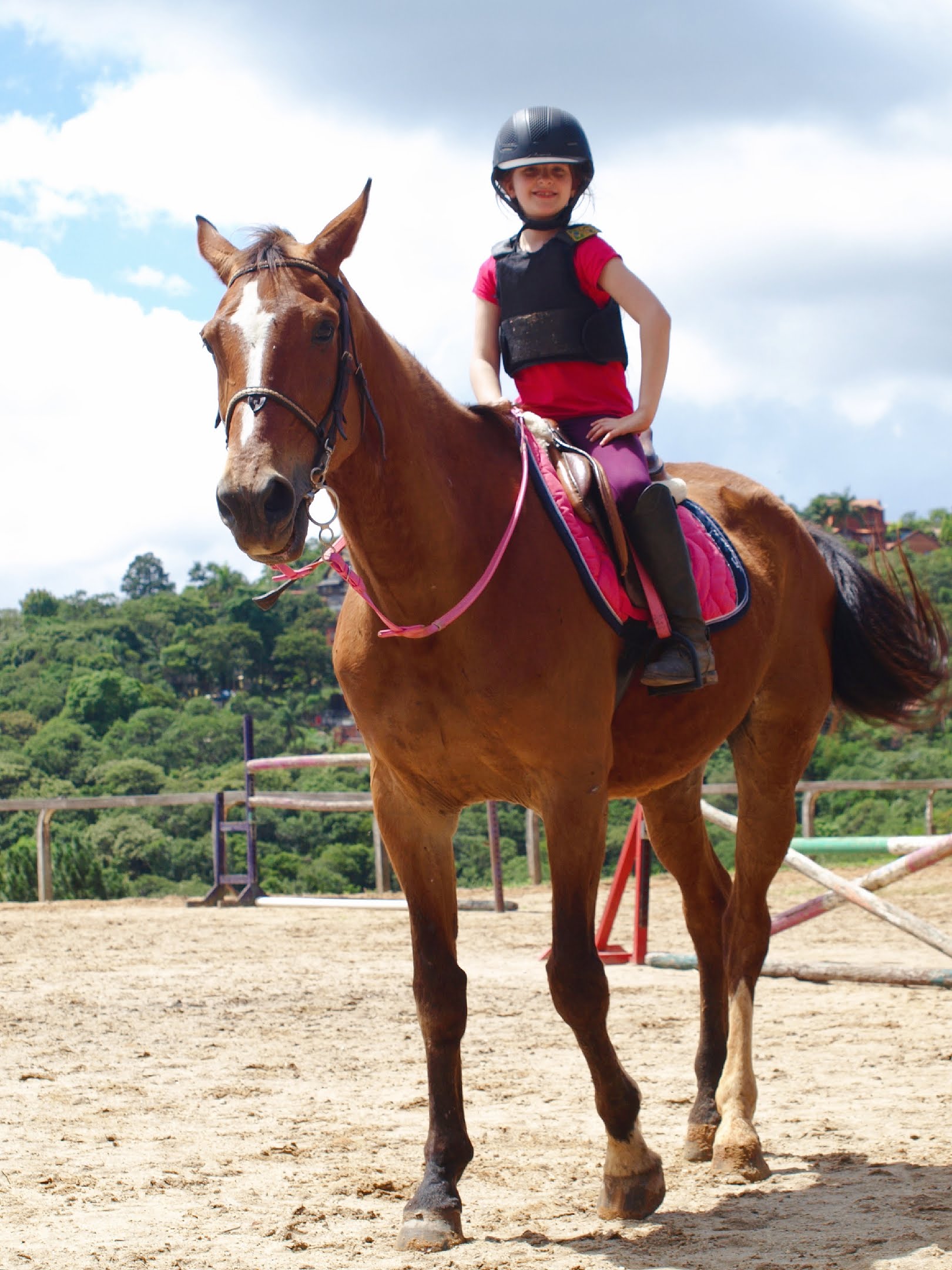 Quando é hora de aposentar seu cavalo?