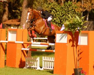 Campeonato Paulista de Amador