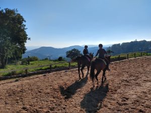 Thaty aulas hipismo equitação montaria, aprender a montar cavalo