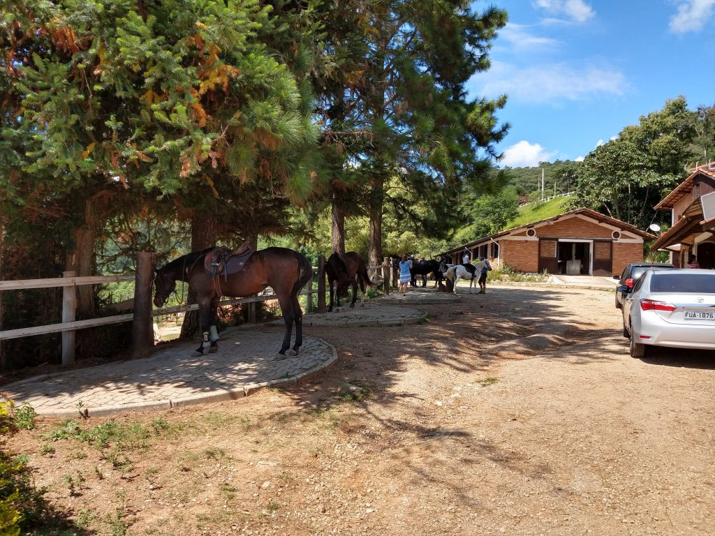 Thaty aulas hipismo equitação montaria, aprender a montar cavalo