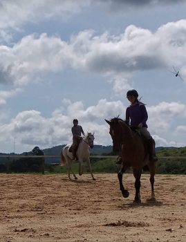 Aulas de equitação, equitação para iniciantes, como montar cavalo, aulas de hipismo, técnicas de equitação