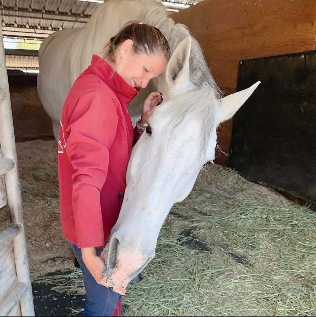 Estabulagem Brasil X California (USA)
