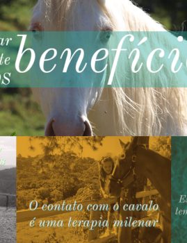 Tire suas dúvidas – Aulas de equitação, hipismo, montaria, aprender a montar cavalo