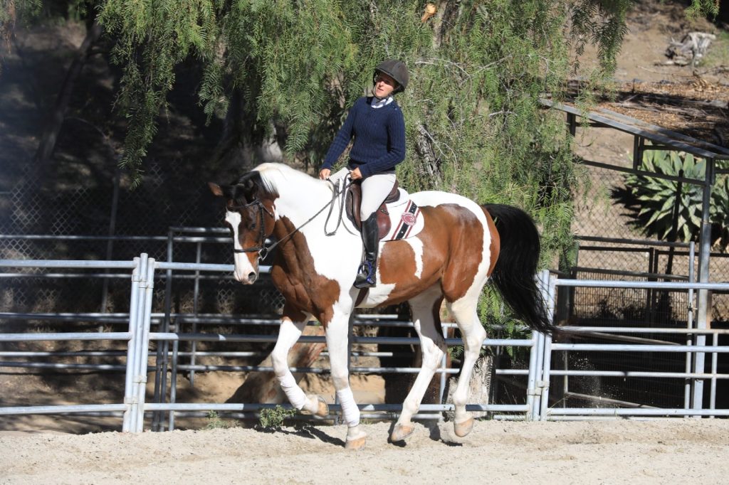 Terapia PEMF (pulsed electromagnetic field)