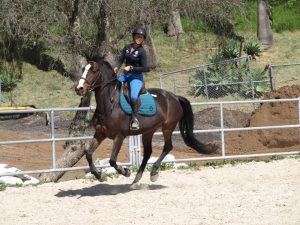 Uma aula em Maverick Farms LA US