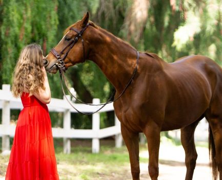 Miss Allure (Capivara)