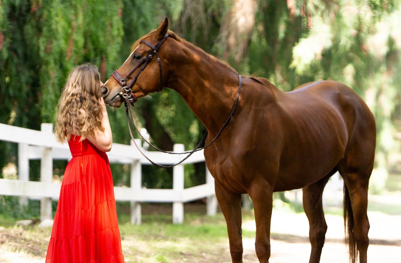 Miss Allure (Capivara)